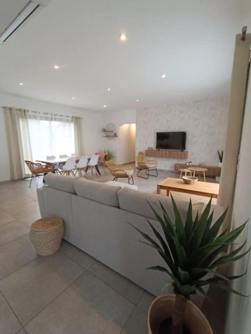 Villa Des Rives Du Tarn Avec Jacuzzi Montans Eksteriør billede